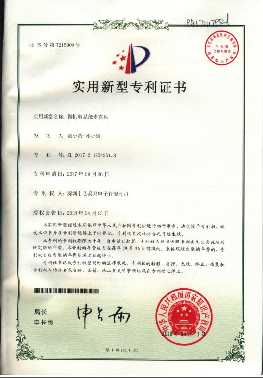 Patent Certificate PA17211795CN